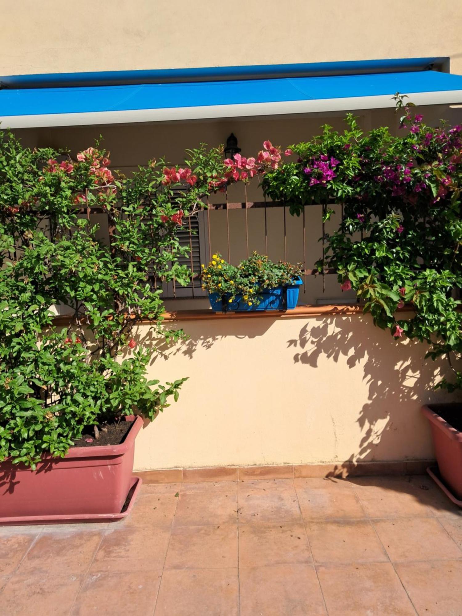 My Little House - Appartamento Con Patio E Parcheggio Privato A 5 Minuti Dalla Spiaggia E Dal Centro 트로페아 외부 사진